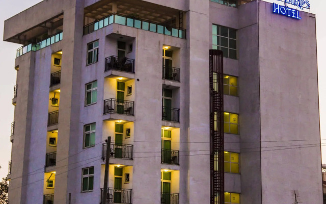 Отель Blue Birds International Hotel 3* Эфиопия, Аддис-Абеба - отзывы