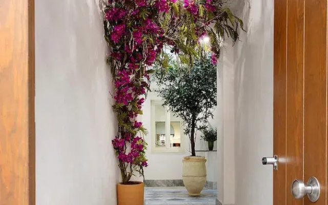 Spectacular Duplex in C diz Center Patrocinio III