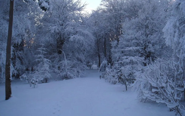 Castle Grove