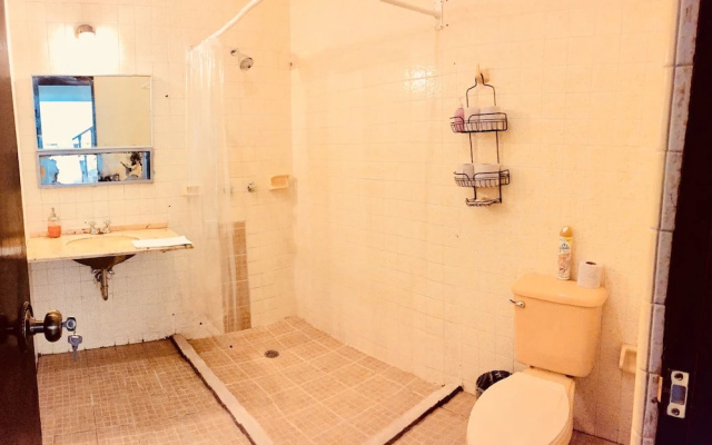 ALMA Suites