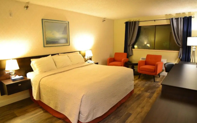 Hotel International