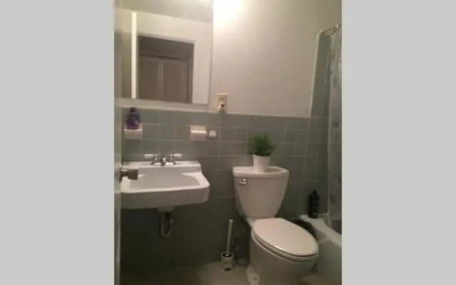 Downtown 1 Bedroom Apt 20L