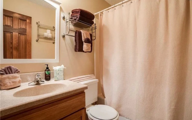 Ski Inn 325