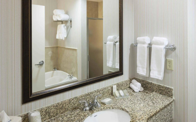 Hilton Garden Inn Dallas Lewisville