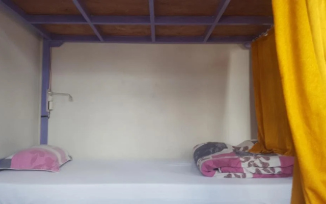 Tiny Tigers Hostel