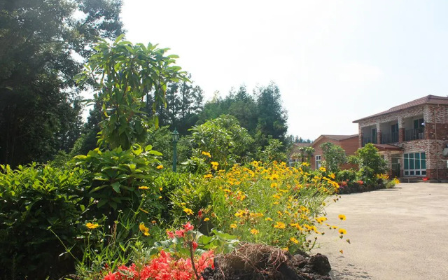 Jeju TS Hostel