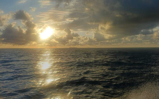 Ceiba Ganadito