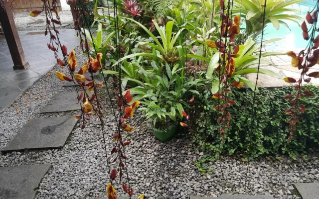 Suites Beija-Flor