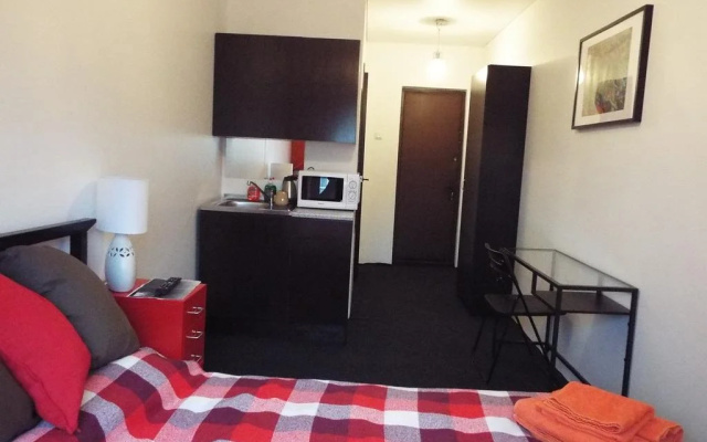 Apartment on Muchnoy pereulok
