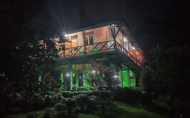 Green Forest Tangkahan