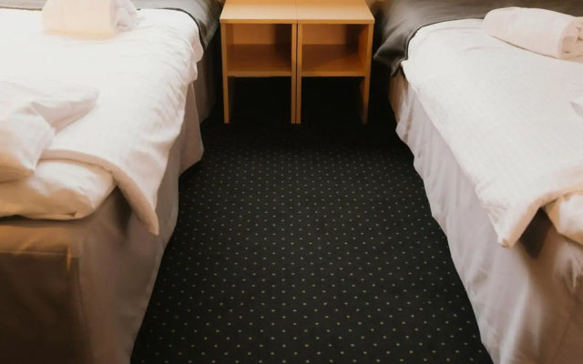 Economy Silesian Hotel