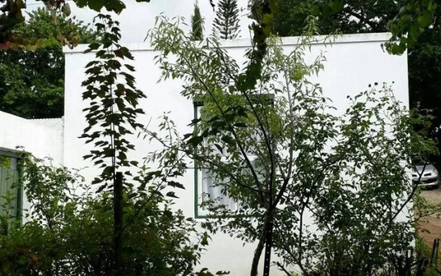 Winterson en Somerkoelte