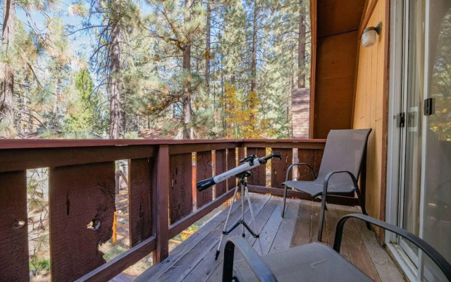 Bearfoot Cabin