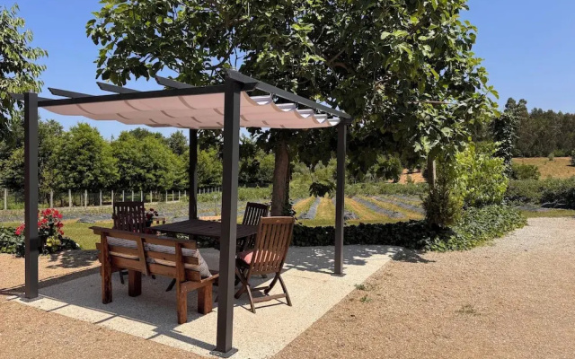 Quinta Vale Salgueiro