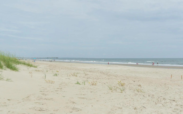 Turtle Soup by Oak Island Accommodations