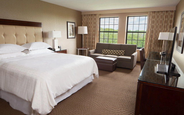Отель Dolce by Wyndham Parsippany