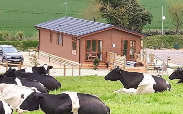 Whitey Top Lodge