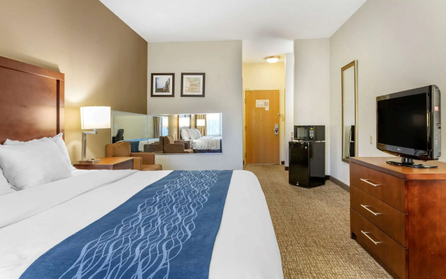 Comfort Inn Kalamazoo