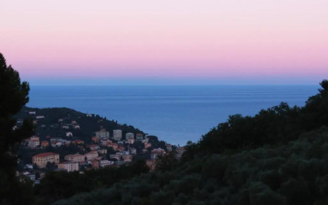 Tenuta Domine