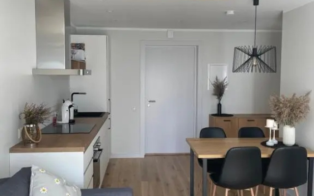 Divas Laivas apartments with a terrace