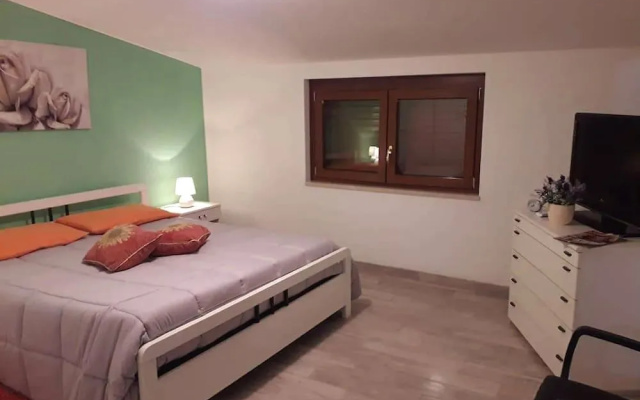 B&B Cialoma