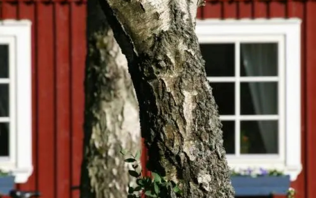 Bergastugan i Skrea Bed & Breakfast