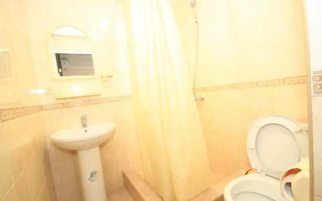 Guest House on Sosnalieva 46