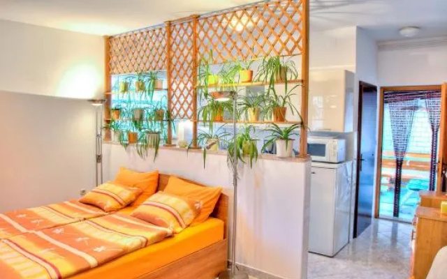 Studio Apartment Raspar