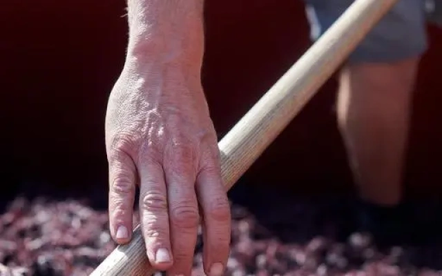 Les Glycines - Domaine Gilles Coperet