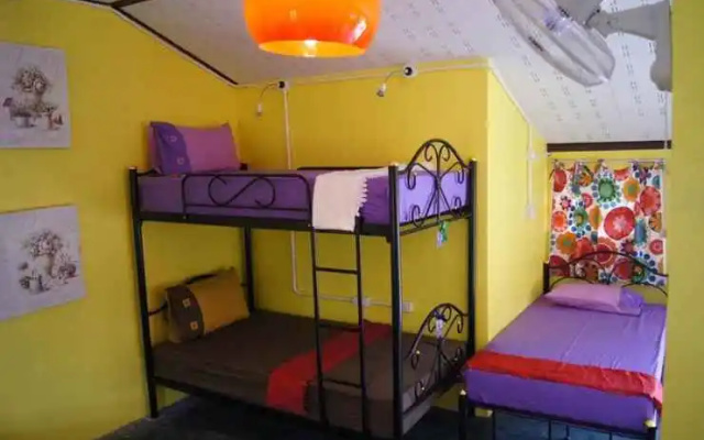 Dorm Des Fleurs Hostel