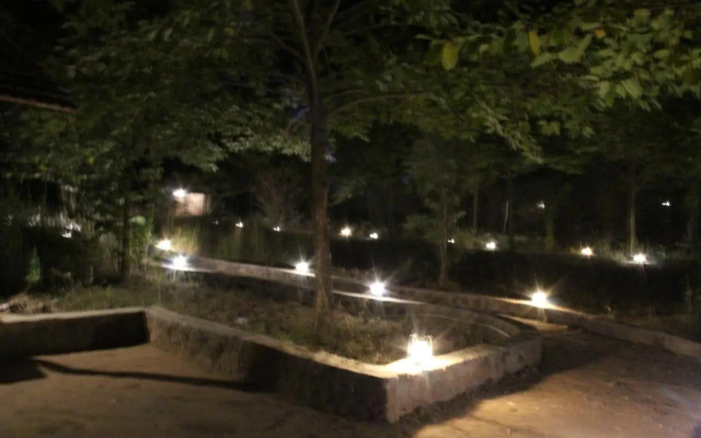 Maati Jungle Lodge