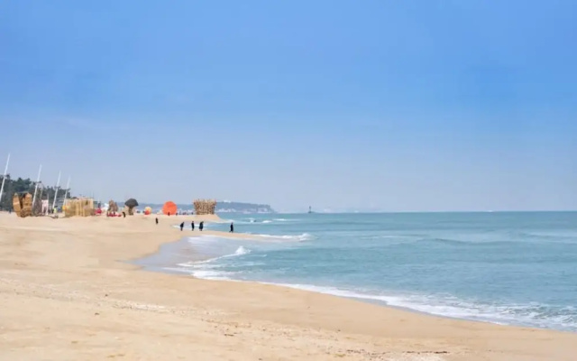 Gangneung Nine One Dog Pension