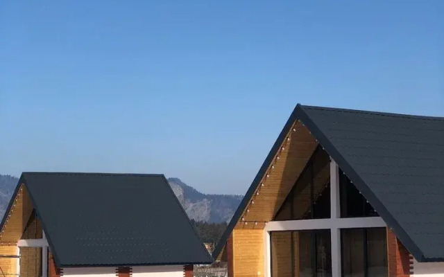 Гостиница Borjomi