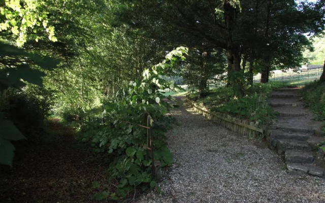 Spacious Home in Bath, Nature And City!