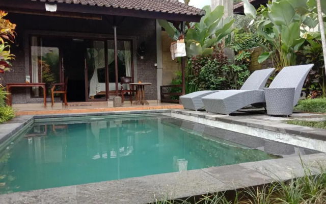Dedik House