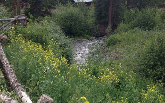 YD Guest Ranch