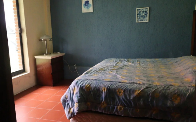 House of Ficus Banderilla,veracruz-mexico