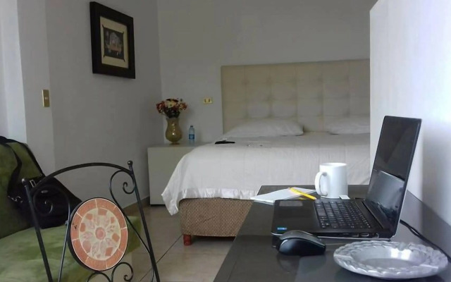 Hotel Real San Luis