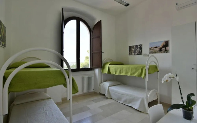 Traiana Bed  Bike