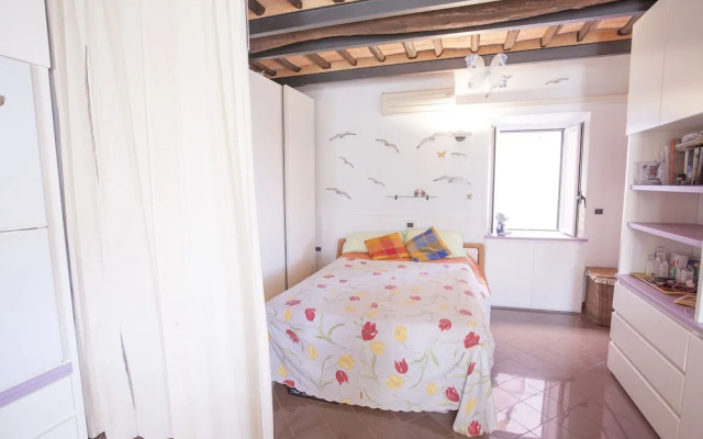 Studio Rio Marina