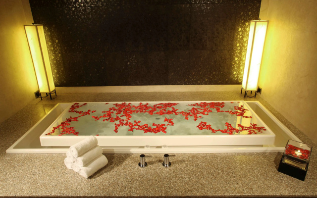 Radisson Blu Plaza Delhi Airport