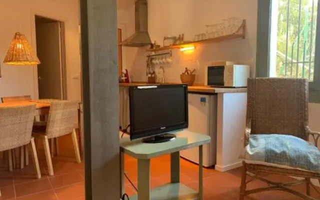 Tamariu 1