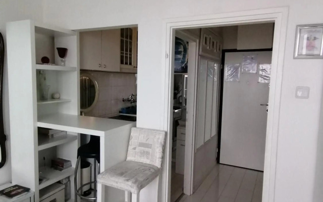 Panorama Studio