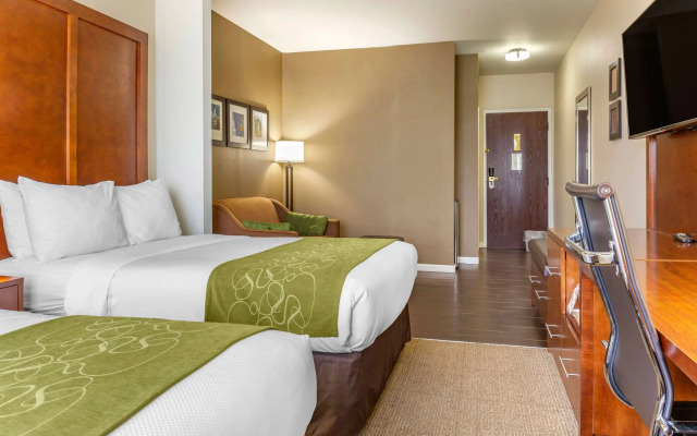 Comfort Suites Dover University Area
