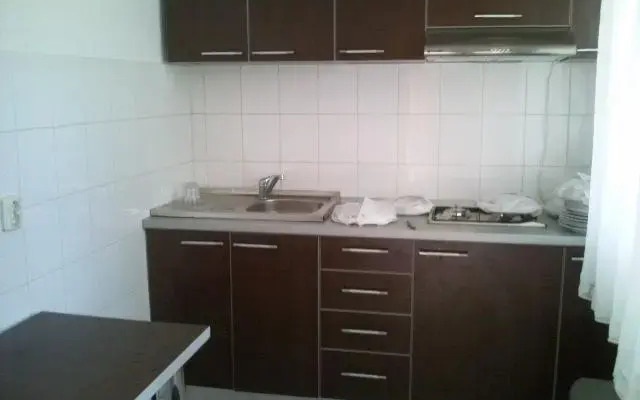 Vila Poienita