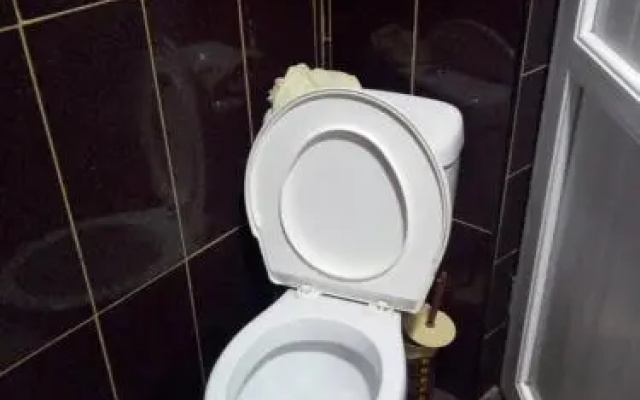Gigla