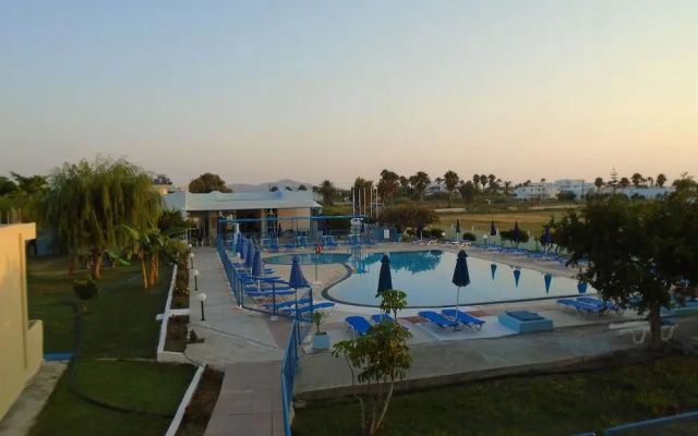Oasis