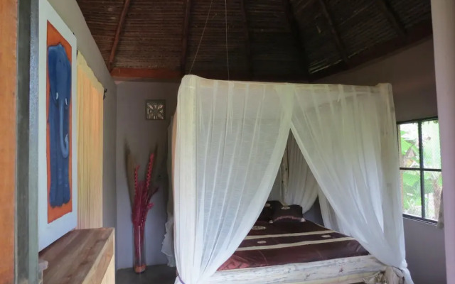 Monkey Lodge Panama