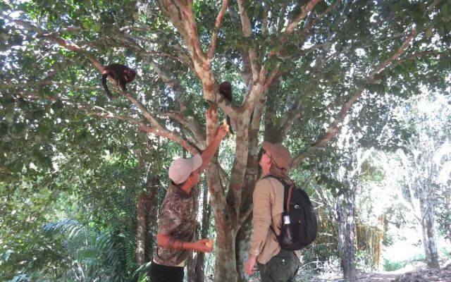 Yacumama Tambopata Expeditions