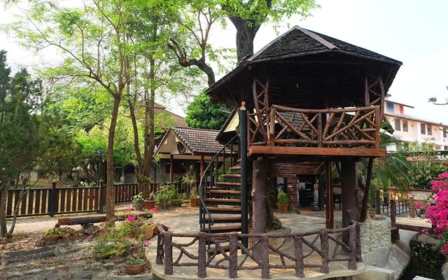 Wood Night House